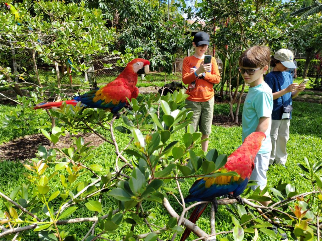 Birdwatching in Costa Rica