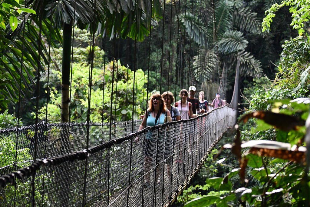 Luxury Costa Rica Experiences 2025