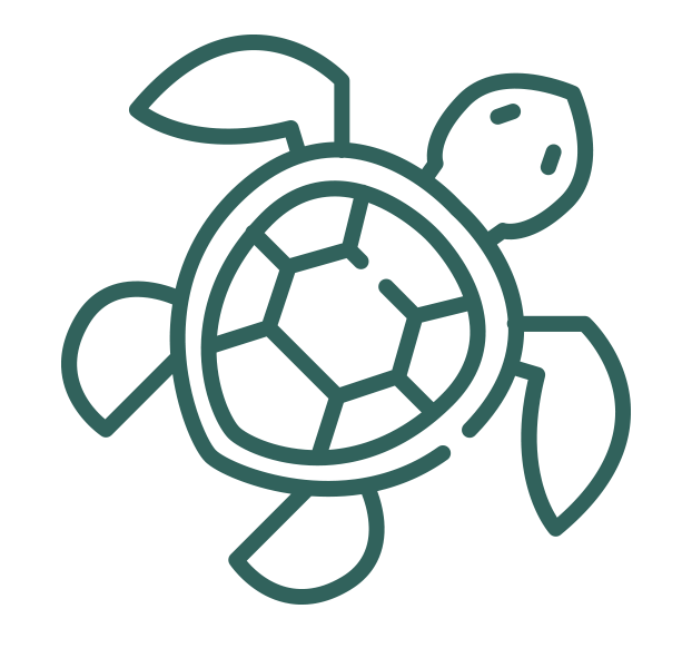 Adventure in Costa Rica