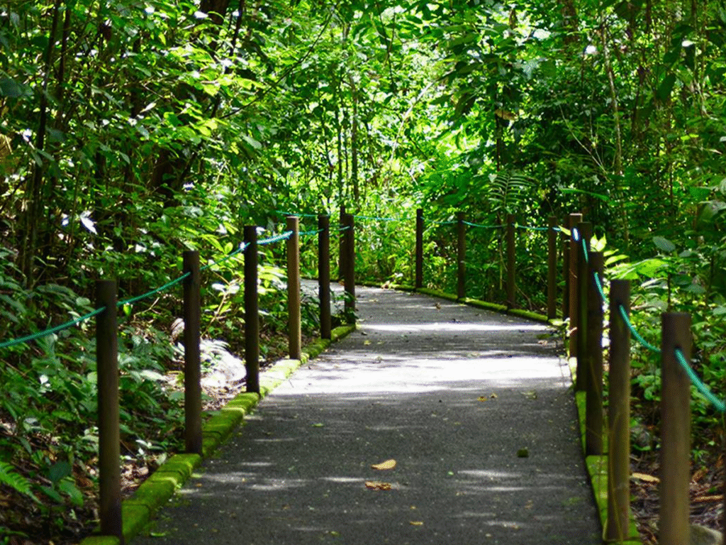 Birdwatching in Costa Rica. Carara
