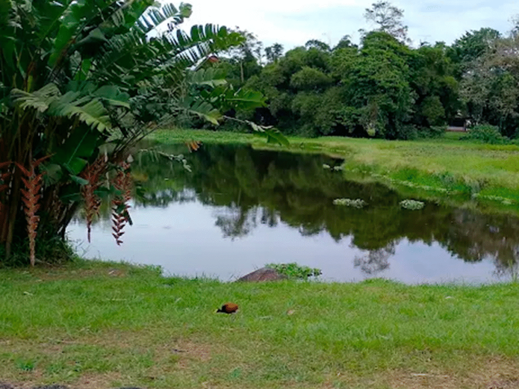 Jardín Botánico CATIE | Turrialba