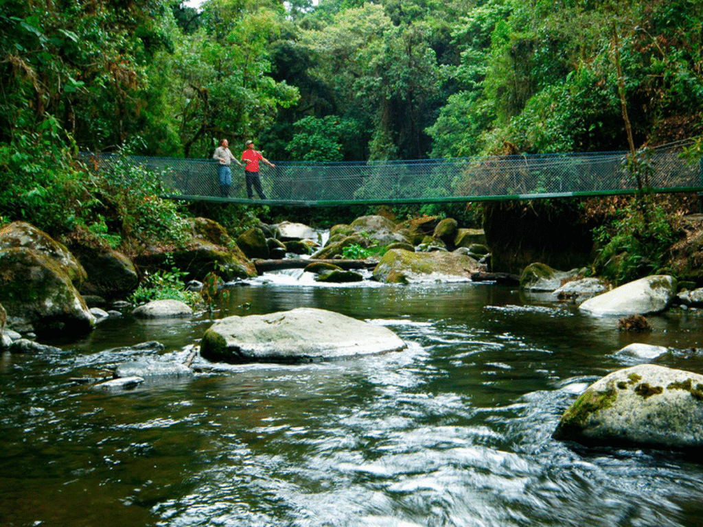 Birdwatching in Costa Rica. San Gerardo de Dota
