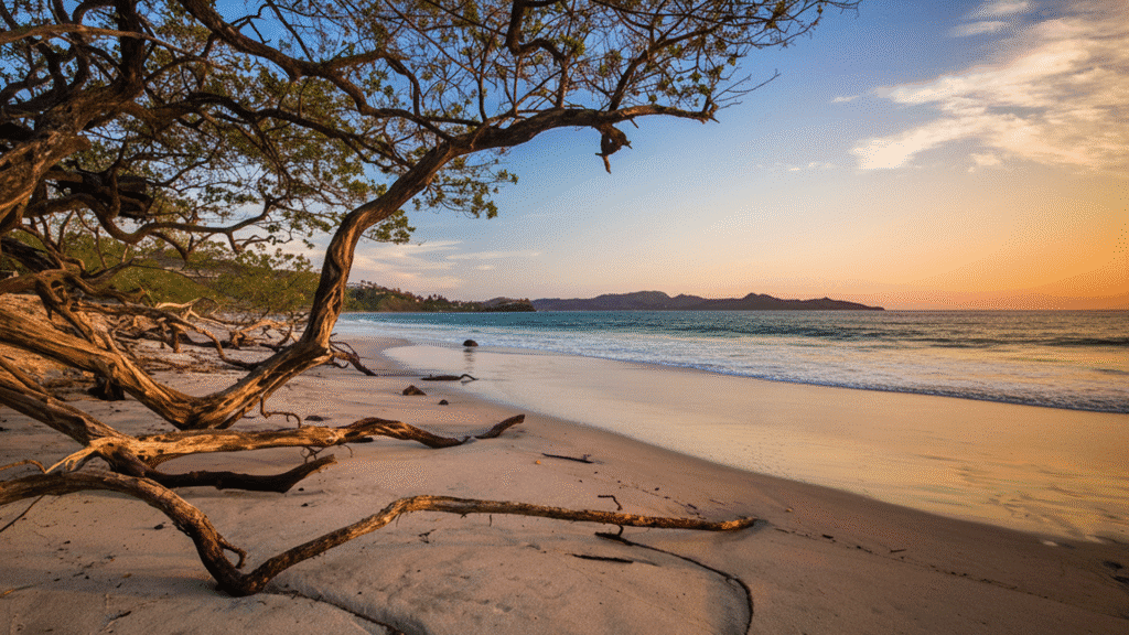 Aerial view of Playa Flamingo Costa Rica with white sand beach, turquoise sea and luxury resorts