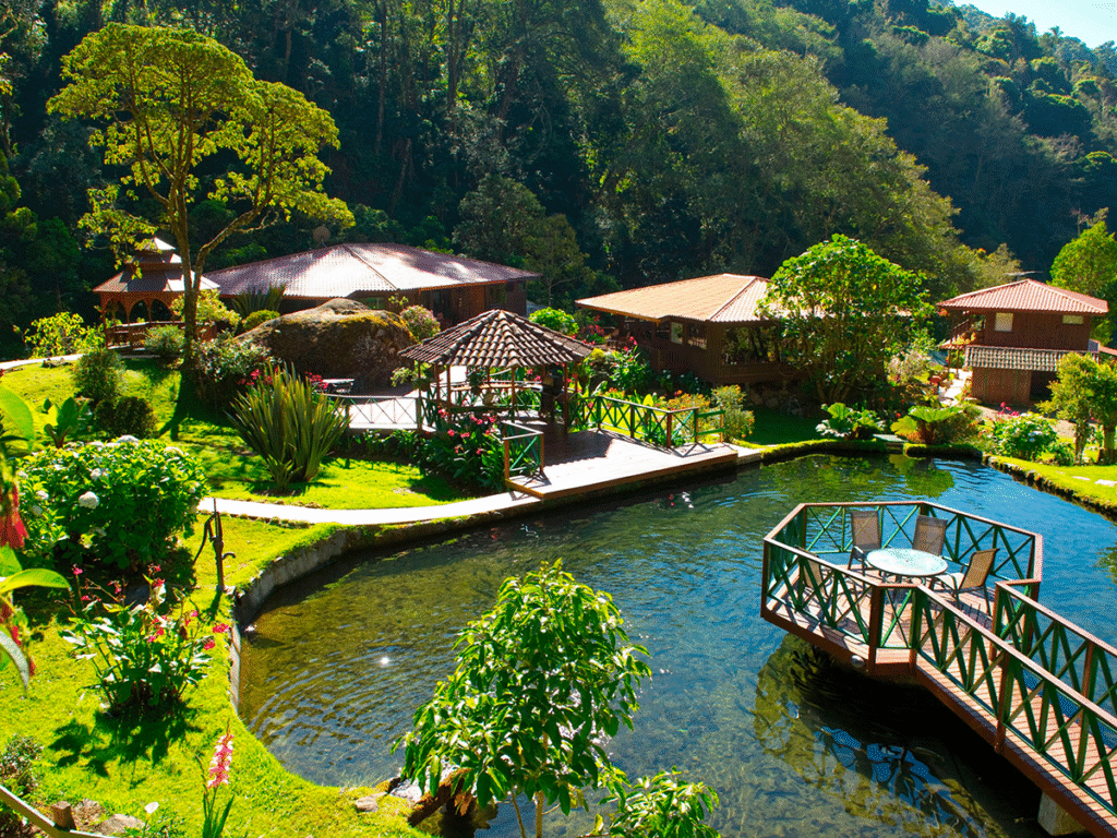 Birdwatching in Costa Rica. San Gerardo de Dota