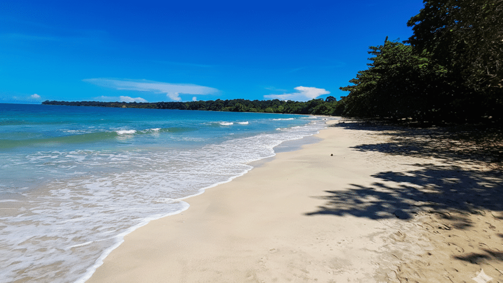Snorkeling coral reef in Cahuita National Park Costa Rica with tropical fish and clear Caribbean water