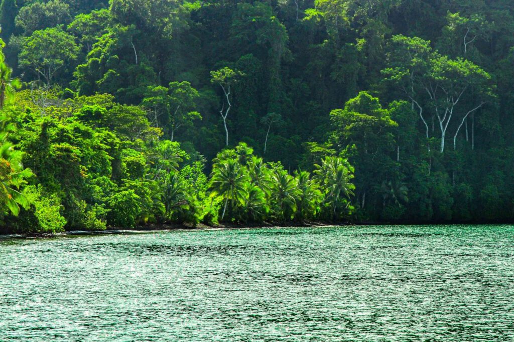 Corcovado National Park