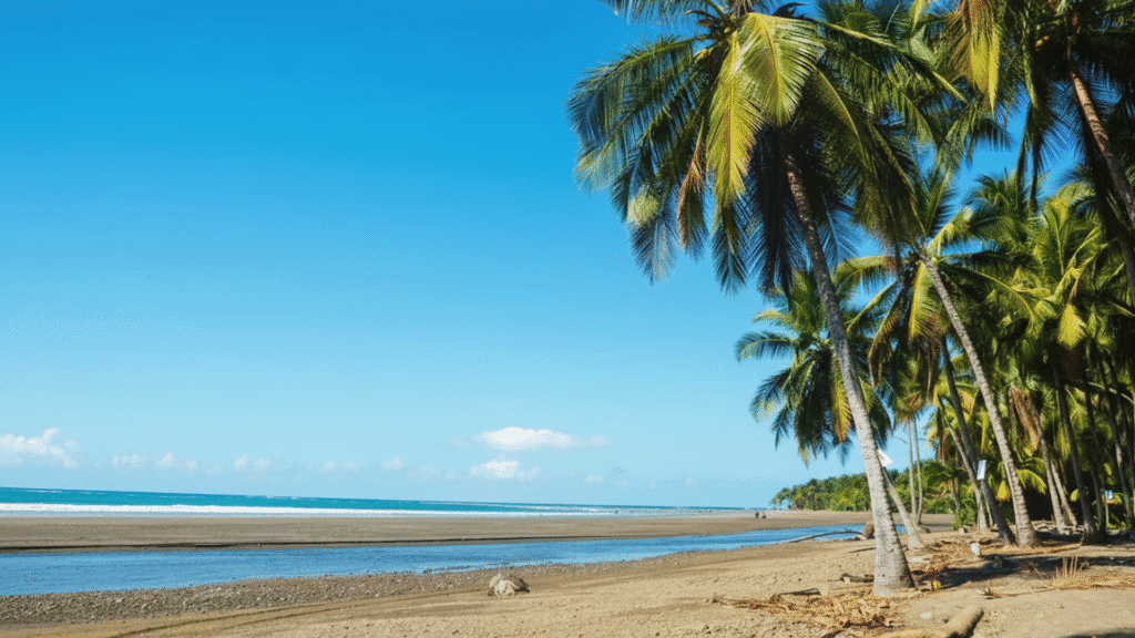 Wild coastline of Dominical Beach Costa Rica with jungle mountains, waves and surfers at sunrise