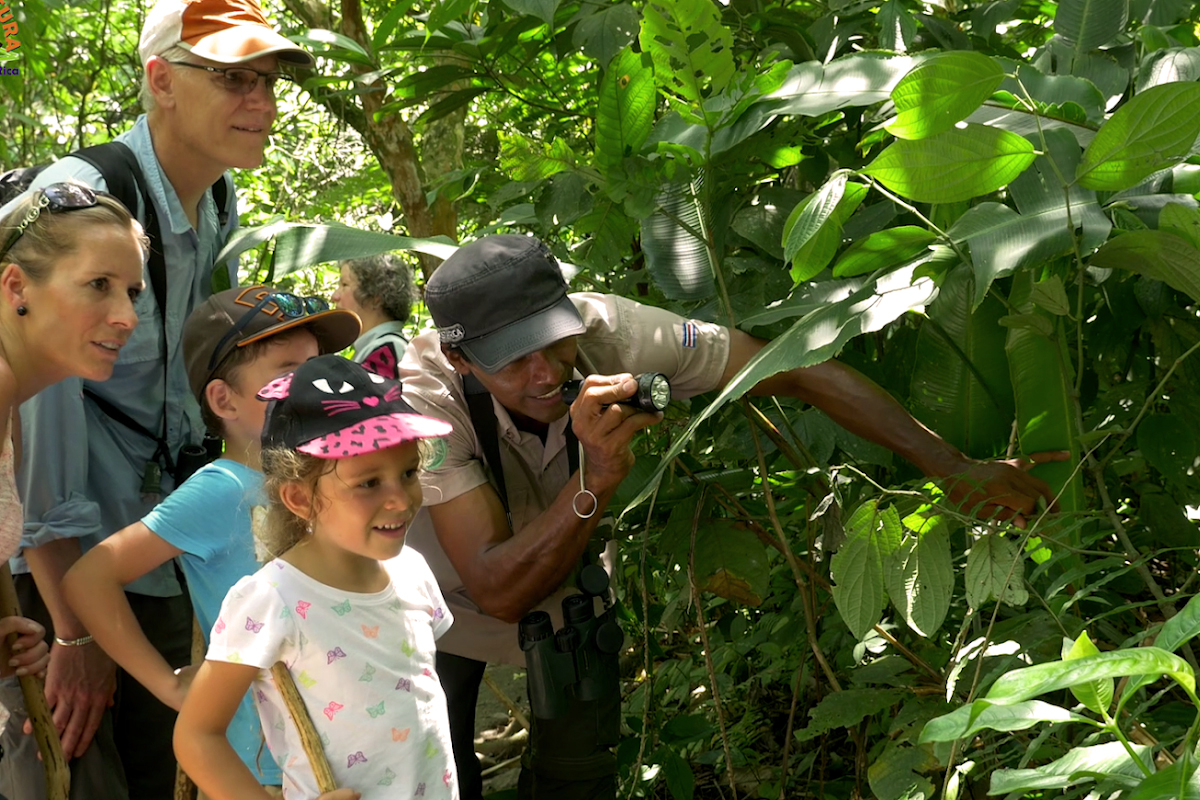 Family with kids exploring a rainforest trail in Costa Rica, surrounded by tropical wildlife and lush green jungle.