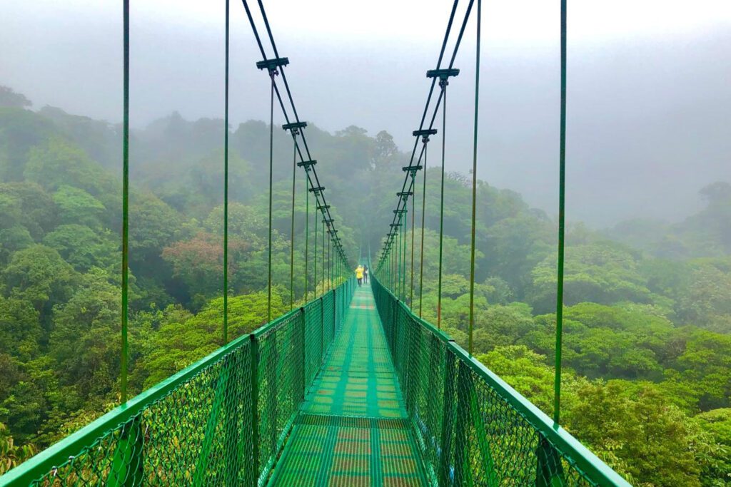 Monteverde Cloud Forest Reserve