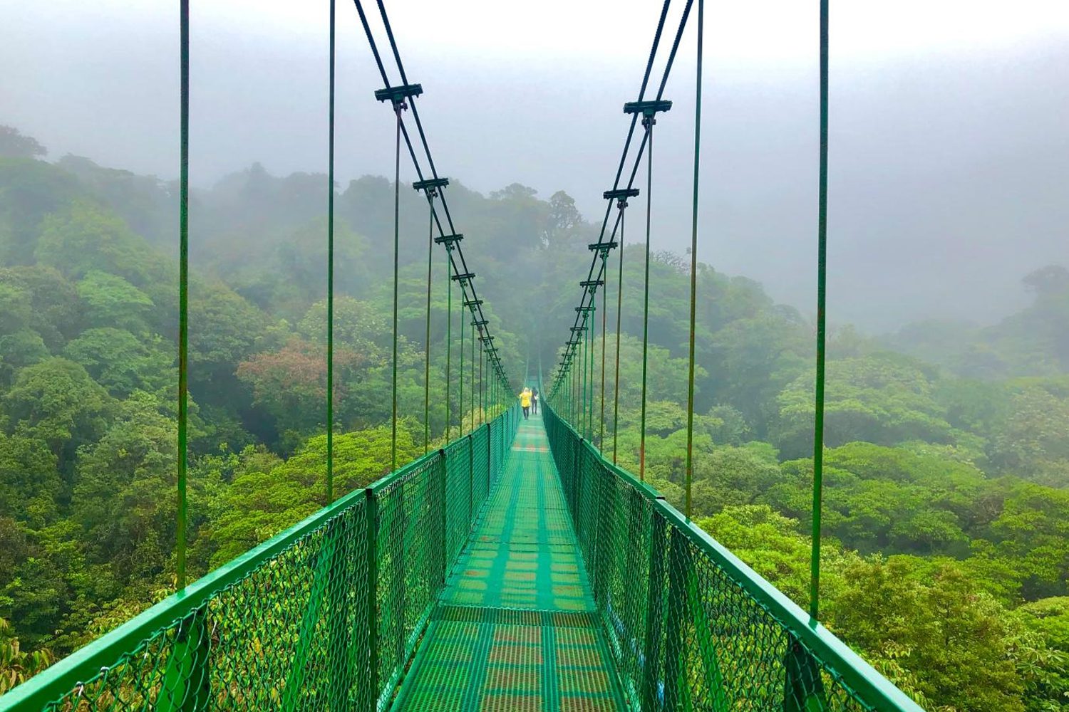 Costa Rica National Parks | The Ultimate Nature & Adventure Guide