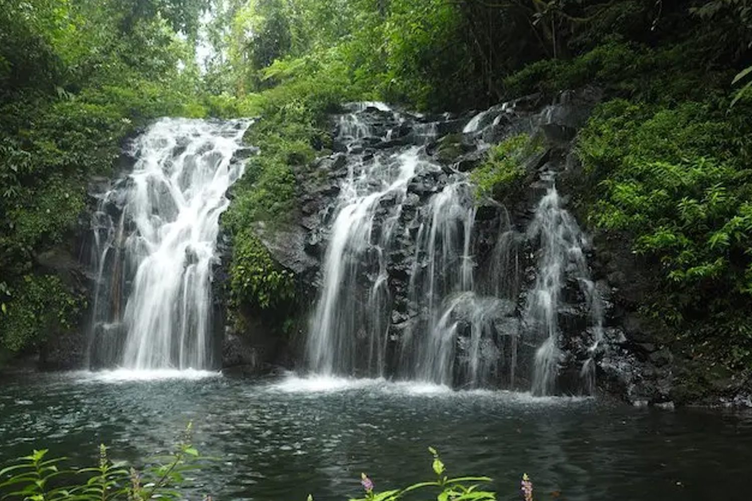 Costa Rica National Parks | The Ultimate Nature & Adventure Guide