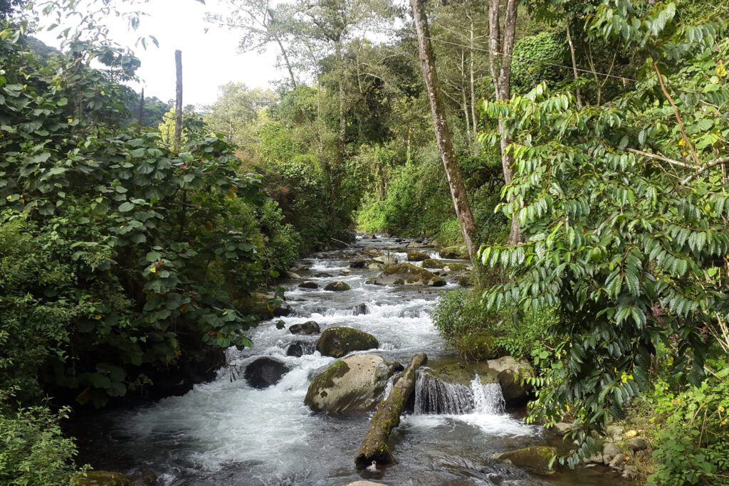 Savegre Valley