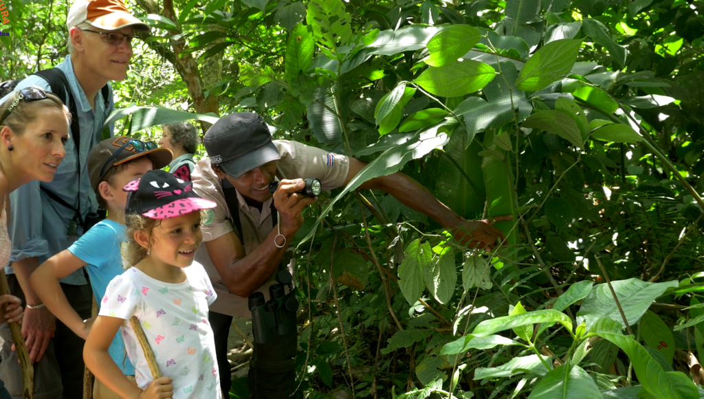 Family with kids exploring a rainforest trail in Costa Rica, surrounded by tropical wildlife and lush green jungle.